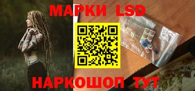СК Новодвинск