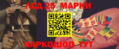 СК Новодвинск