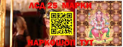 СК Новодвинск