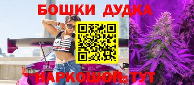 СК Новодвинск