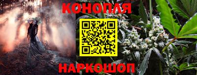 бошки Новозыбков