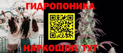 СК Новодвинск