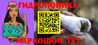 бошки Новозыбков