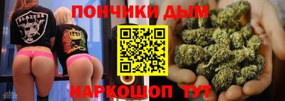 СК Новодвинск