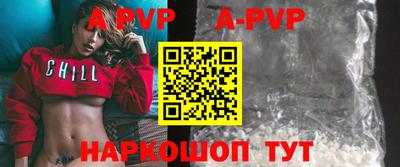 СК Новодвинск