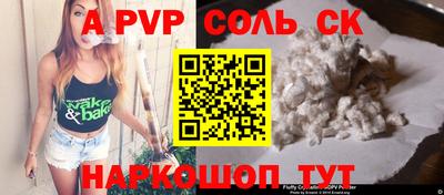 СК Новодвинск