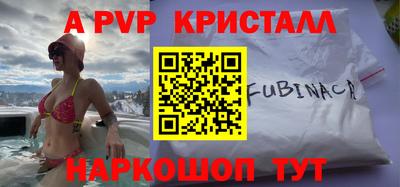 СК Новодвинск