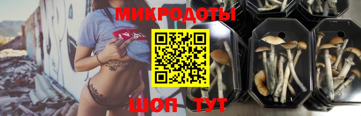 Славгород  Галлюциногенные грибы мицелий  наркошоп  Вход с VPN  Галлюциногенные грибы ЛСД 